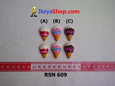 rsn 609  large2